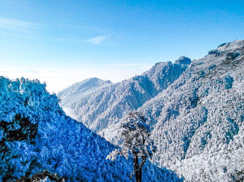 高山雾凇