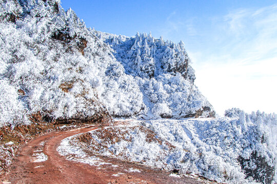 高山雾凇雪景