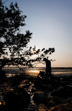 深圳西湾红树林日落风光