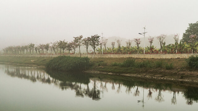 河岸景观