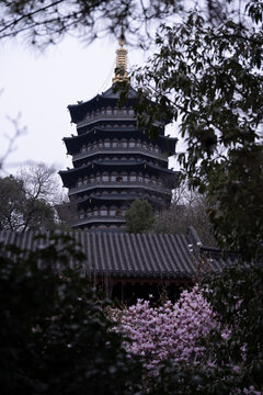 春日阴天下的雷峰塔