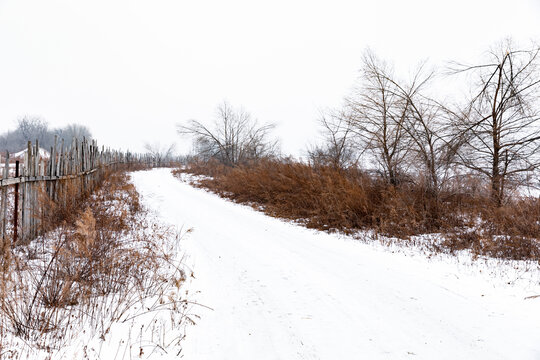 冬天农村雪后纯净枯树道路