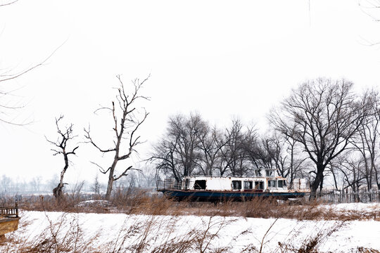 雪后枯树旧船