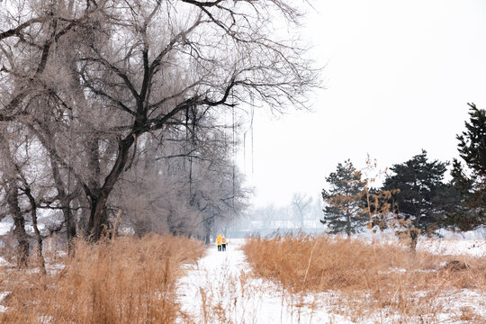 吉林雾凇岛雪后旅游风光航拍