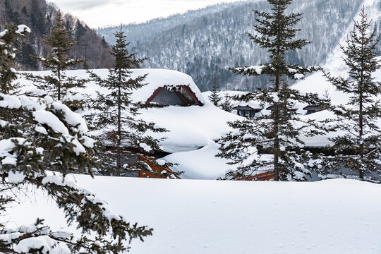 黑龙江雪乡雪景旅游民宿东北农村