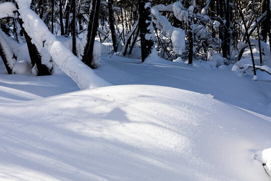 冬季天森林雪景树挂东北老里克湖