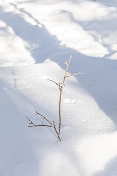 冬季天森林雪景树挂东北老里克湖