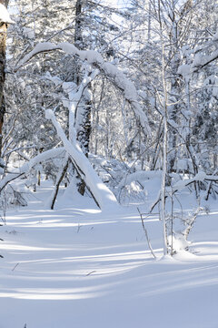 冬季天森林雪景树挂东北老里克湖