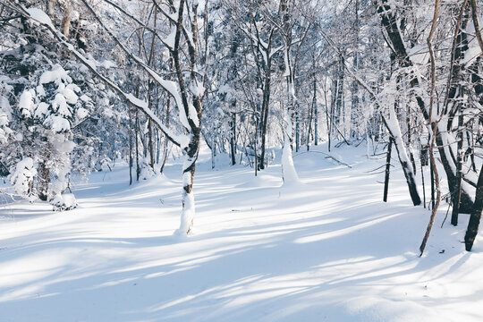 冬季天森林雪景树挂东北老里克湖