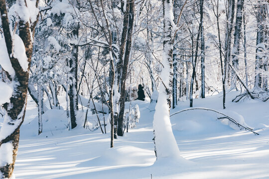 冬季天森林雪景树挂东北老里克湖