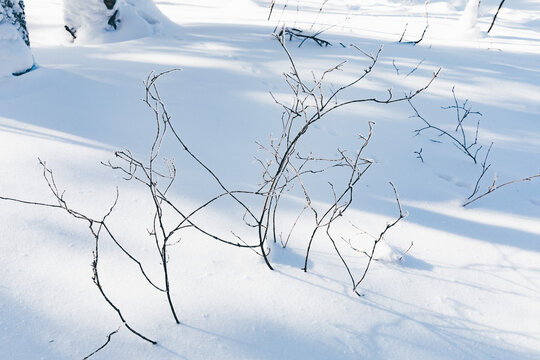 冬季天森林雪景树挂东北老里克湖