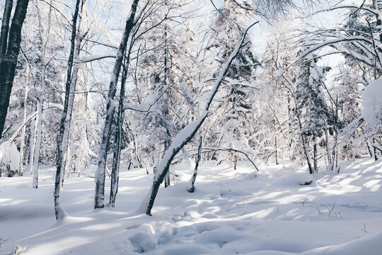 冬季天森林雪景树挂东北老里克湖