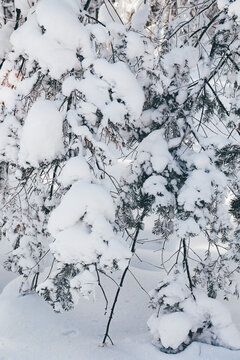 冬季天森林雪景树挂东北老里克湖