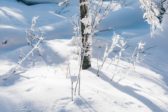 冬季天森林雪景树挂东北老里克湖