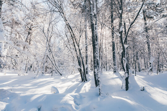 冬季天森林雪景树挂东北老里克湖