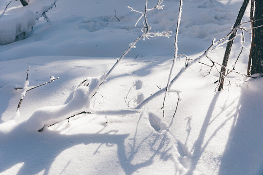 冬季天森林雪景树挂东北老里克湖