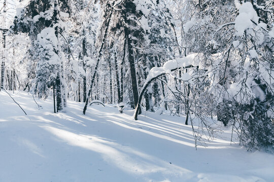 冬季天森林雪景树挂东北老里克湖