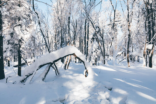 冬季天森林雪景树挂东北老里克湖