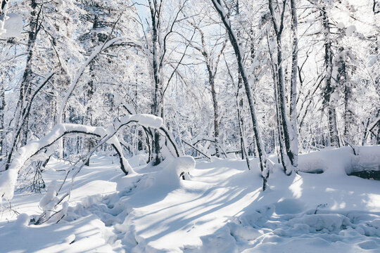 冬季天森林雪景树挂东北老里克湖