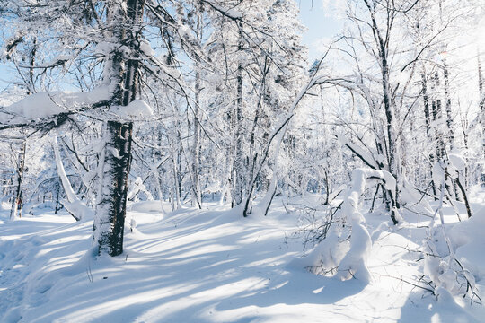 冬季天森林雪景树挂东北老里克湖