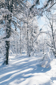 冬季天森林雪景树挂东北老里克湖