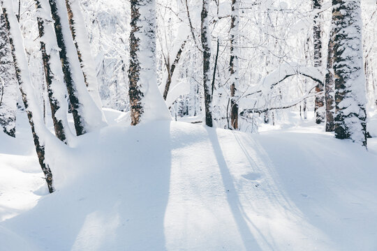 冬季天森林雪景树挂东北老里克湖