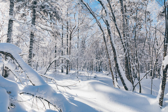 冬季天森林雪景树挂东北老里克湖