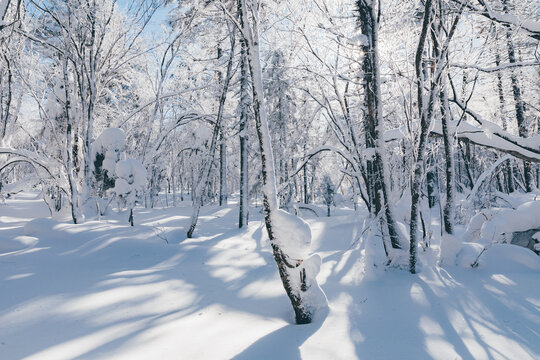 冬季天森林雪景树挂东北老里克湖