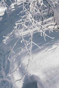 冬季天森林雪景树挂东北老里克湖