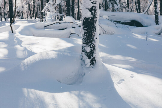 冬季天森林雪景树挂东北老里克湖