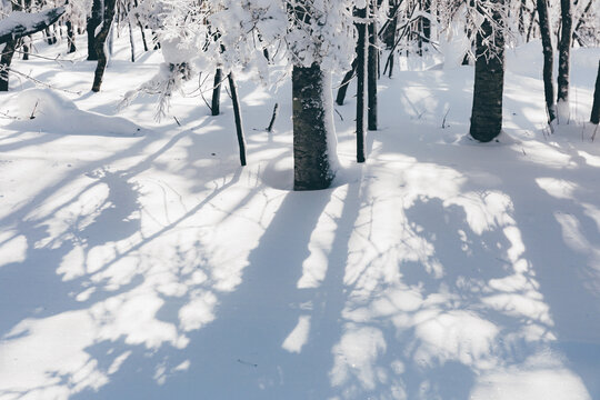 冬季天森林雪景树挂东北老里克湖