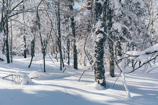 冬季天森林雪景树挂东北老里克湖