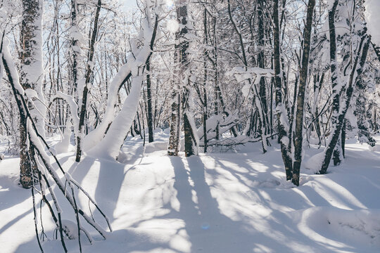 冬季天森林雪景树挂东北老里克湖