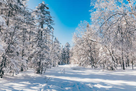 冬季天森林雪景树挂东北老里克湖