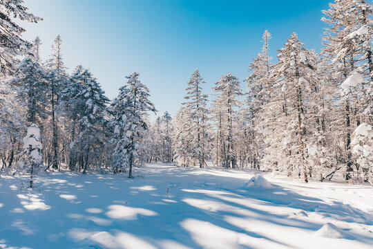 冬季天森林雪景树挂东北老里克湖