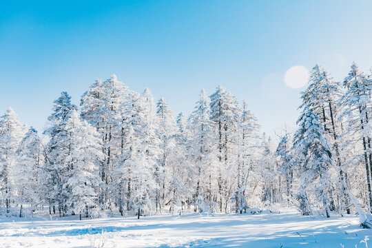 冬季天森林雪景树挂东北老里克湖