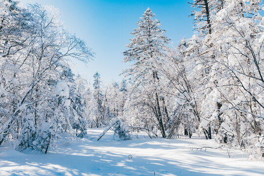 冬季天森林雪景树挂东北老里克湖