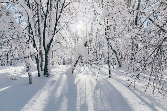 冬季天森林雪景树挂东北老里克湖