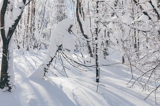 冬季天森林雪景树挂东北老里克湖