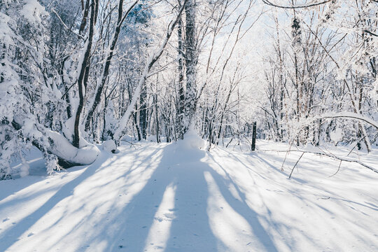 冬季天森林雪景树挂东北老里克湖