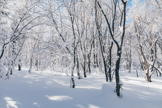 冬季天森林雪景树挂东北老里克湖