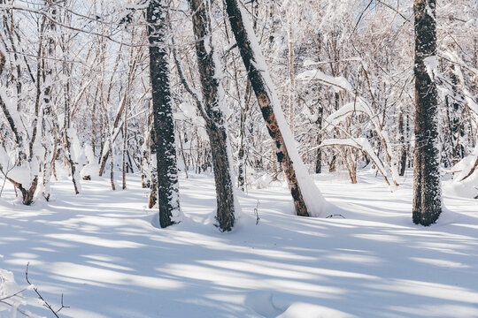 冬季天森林雪景树挂东北老里克湖