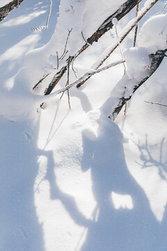 冬季天森林雪景树挂东北老里克湖