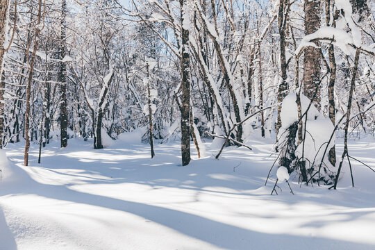 冬季天森林雪景树挂东北老里克湖