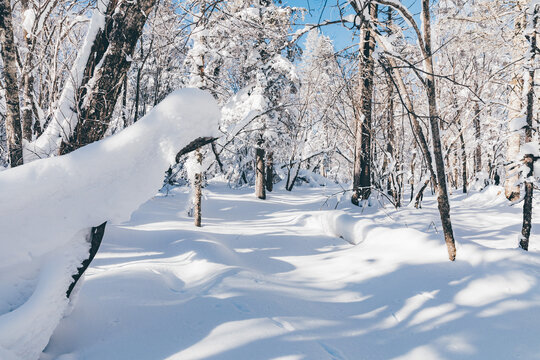 冬季天森林雪景树挂东北老里克湖