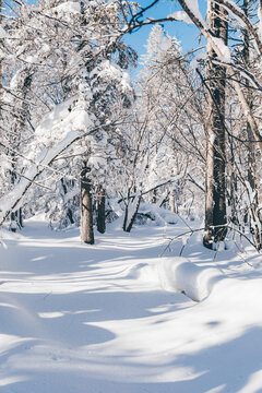 冬季天森林雪景树挂东北老里克湖