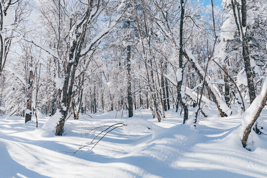 冬季天森林雪景树挂东北老里克湖