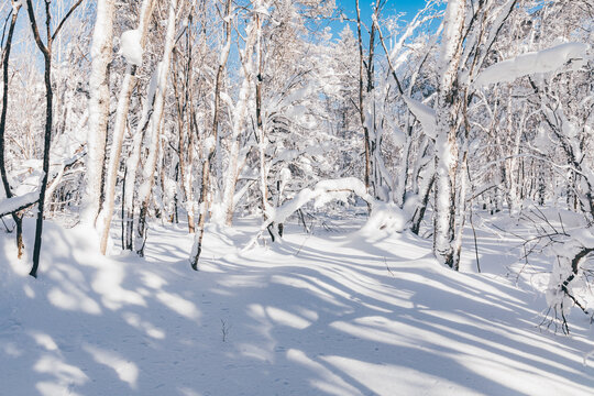 冬季天森林雪景树挂东北老里克湖