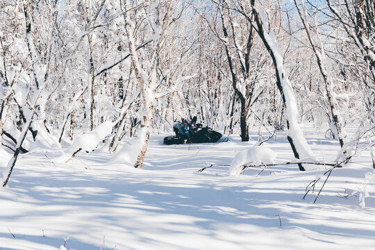 冬季天雪景东北旅游雪地摩托滑雪