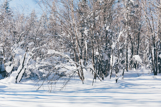 冬季天森林雪景树挂东北老里克湖